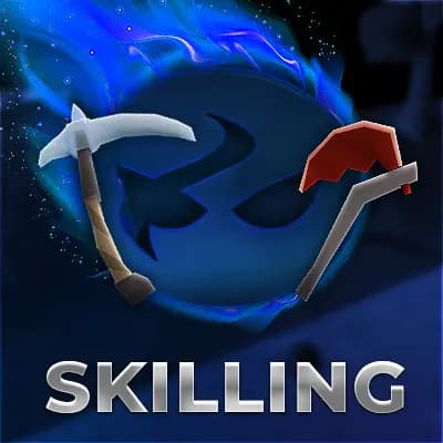 Skilling Package Image